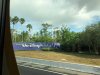 wdw2.jpg