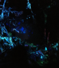 upload_2018-6-27_11-39-21.png