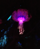upload_2018-6-27_11-40-11.png