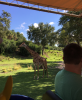 upload_2018-6-27_12-14-44.png upload_2018-6-27_12-14-44.png