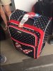 MINNIE LUGGAGE.jpg