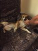 D0078129-DD1C-4E8A-A372-AB7178D128BD.jpeg