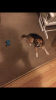 F062AA4F-B574-4321-BD70-870D321E6C1B.png