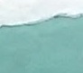 crop8585.jpg