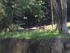 IMG_8446.JPG