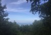 4CCD3CA9-5368-4D34-9DA8-0D95A470374D.jpeg