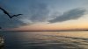 20180629_204009-1008x567.jpg