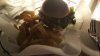 20160911_171414.jpg