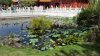 20160912_152619.jpg