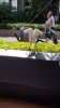 20160914_120829.jpg