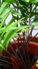 20160914_130919.jpg