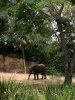 IMG_Jul42018at31900PM.jpg