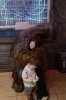 PhotoPass_Visiting_STUDIO_411177346708.jpg