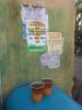 jungle juice (1).JPG