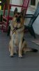 20180707_115004_resized.jpg