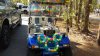 FW mar 2018 easter cart.jpg