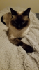 upload_2018-7-10_11-44-53.png