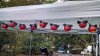 FW nov 15 mickeylighrts.jpg
