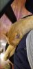 20180711_103038.jpg