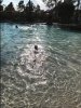 kidani pool.JPG