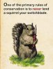 SquirellQ.SwitchBlade.jpg