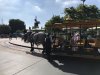 dl_carriage.jpg dl_carriage.jpg