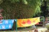 075B5755-5DD8-44A9-87CD-23C7205DAC14.jpeg