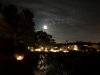IMG_0971.jpg