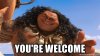 youre-welcome.jpg