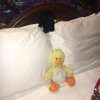IMG_0202.jpg