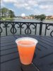 epcot drink.JPG