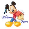 Welcome Home Mickey bird.jpg