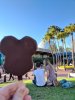 IMG_20171231_163258.jpg
