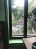 yak view.JPG