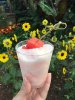 watermelon slushy.JPG