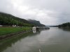 IMG_1317.jpg