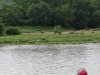 IMG_1336.jpg