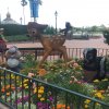IMG_0223.jpg