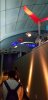 20180704_094837.jpg