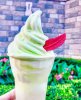 peter pan float.jpg