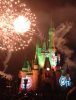 magic kingdom shot.jpg