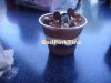 chocolate parfait.JPG chocolate parfait.JPG