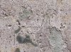 F9D29907-1269-4150-8F8F-0D536C42A1E0.jpeg