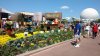 epcot fgdisplay.jpg