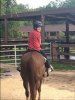 Horse - B.jpg