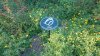FW Butterfly garden.jpg