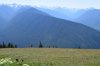 DSC_0252.JPG