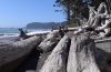 DSC_0167.JPG