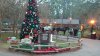 FW dec 17 xmas tree.jpg