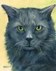 upload_2018-8-3_15-42-21.jpeg